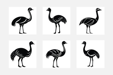 Emu bird vector illustration icons