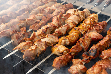 Kebab skewer meat dish. BBQ meat on grill. 