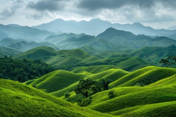 Fototapeta premium A picturesque view of a green valley with mountains in the background, suitable for travel, nature, or landscape themed projects
