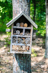 Insect hotel on tree. Insects house in forest. Protection and care of insects. Ecology, environmental protection concept.