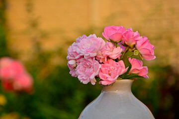 różowe róże w wazonie na rozmytym tle, rózowe róze w małym wazonie na tle ogrodu, bukiecik różowych róż, pink roses in a vase on a blurry background, pink roses in a small vase on a garden background © kateej