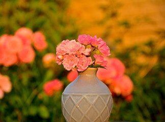 różowe róże w wazonie na rozmytym tle, rózowe róze w małym wazonie na tle ogrodu, bukiecik różowych róż, pink roses in a vase on a blurry background, pink roses in a small vase on a garden background © kateej