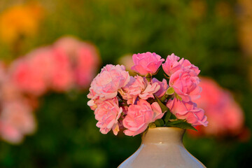 różowe róże w wazonie na rozmytym tle, rózowe róze w małym wazonie na tle ogrodu, bukiecik różowych róż, pink roses in a vase on a blurry background, pink roses in a small vase on a garden background © kateej