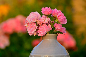różowe róże w wazonie na rozmytym tle, rózowe róze w małym wazonie na tle ogrodu, bukiecik różowych róż, pink roses in a vase on a blurry background, pink roses in a small vase on a garden background © kateej