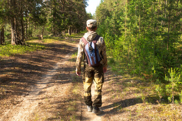 Obraz premium A tourist walks through the forest. A trip to the sunny forest.