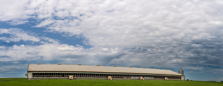 Hog animal confinement barn in a rural setting with cloudy skies 