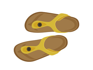 Casual sandals for woman seasonal foot gear accessories vector illustration isolated on white