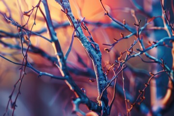 A close-up shot of a bare tree trunk, highlighting its texture and shape