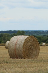 picture of fresh summer haystacks in the field