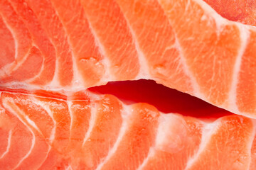 Fresh salmon. Close-up of fresh salmon fillet. Selective focus