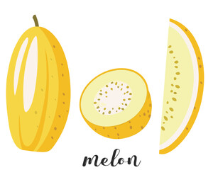 Illustration of hand drawn melon, sliced and whole isolated on white. Summer ripe fruit.