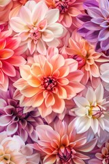 A detailed view of a collection of colorful flowers, ideal for decorating or design purposes