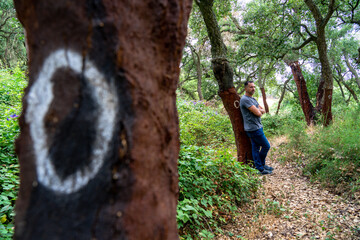 Caucasian white man leaning against a cork oak tree producing cork with the number 0 identifying...
