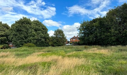 A lush field of tall grass and greenery stretches towards a residential area with redbrick houses, the scene has a peaceful, suburban feel in, White Lee, UK, Birstall, UK