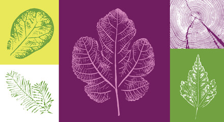 Fig leaves design illustration with stamp effect. Botanical print with end grain tree rings and colorful patterns.