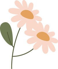 Chamomile Flowers Hand Drawn