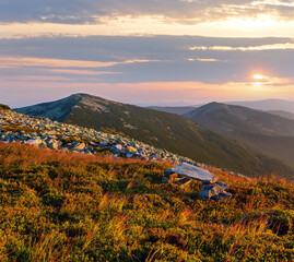 Summer morning mountain view (Carpathian, Ukraine).