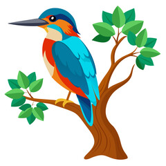 Colorful Kingfisher Bird on Branch Nature Vector on White