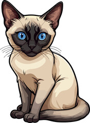 Obraz premium Siamese cat the Lovely Kitten with Blue Eyes of vector illustration isolated on a funny happy Domestic animal.