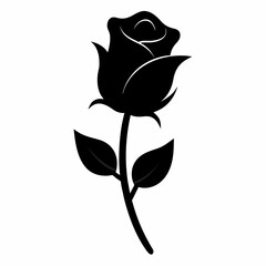 Stunning Black Rose Buds A Unique Touch to Your Garden