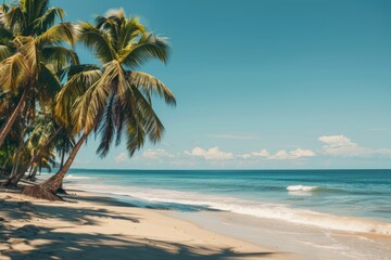 Tropical beach getaway  relaxing summer vacation with palm trees and crystal clear waters