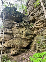 Rock in the forest