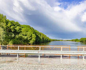 A bridge spans a river with a forest on the other side