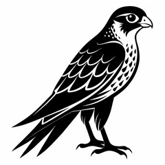 High-Quality Black Silhouette Kestrel Vector Art