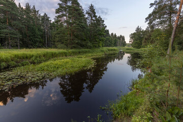 Obraz premium A serene river winds through a dense forest, its surface mirroring the twilight sky and the surrounding trees.