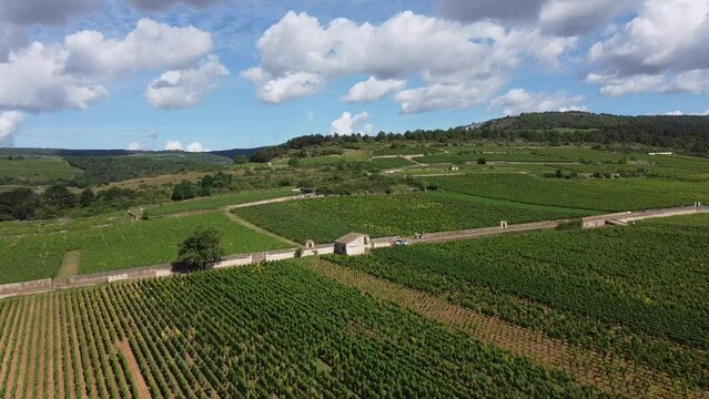 Aerial view on grand cru vineyards near Puligny-Montrachet village in Burgundy, France, making of white wine from chardonnay grapes