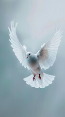 International Day of Peace. Harmony on the International Day of Peace and Freedom. A worldwide collaboration celebrating the peaceful coexistence of different cultures and the pursuit of freedom and e