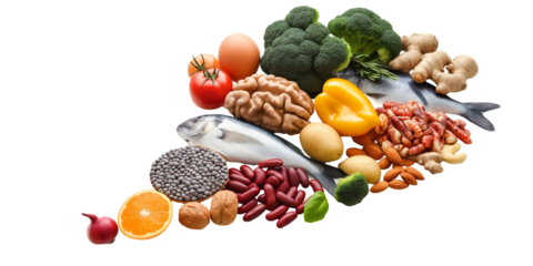 fish and vegetables on a white background