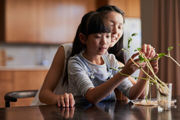 Plants, education and child with mother in home for sustainable gardening growth for science project. Research, botany and Asian mom helping girl kid with development of stem and leaves for homework. © Sanc/peopleimages.com