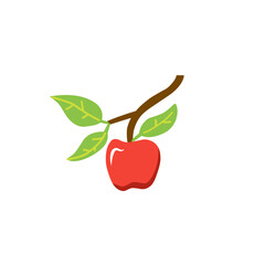 apple vector illustration