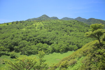 Obraz premium 霧降高原とその周辺の風景