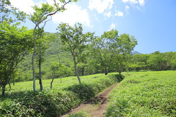 霧降高原とその周辺の風景