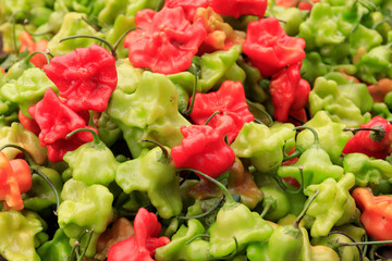 Europe, Romania. Maramures County. Baia Mare. Green and red peppers in local market stall.