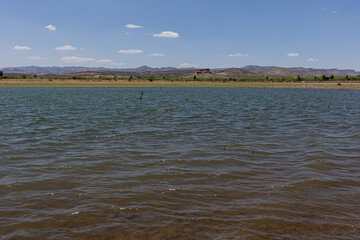 laguna