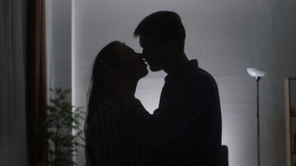 Intimate Silhouette: Couple Sharing a Tender Kiss in the Privacy of Their Home
