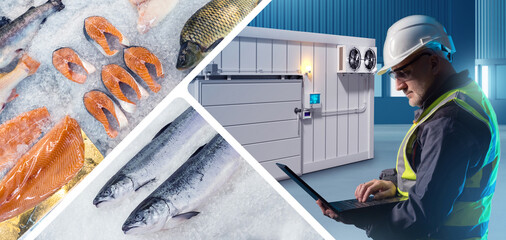 Man in seafood warehouse. Fish near worker with laptop. Container with frozen fish. Refrigerator...