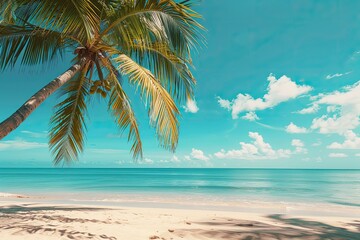 A palm tree is in front of a blue ocean. The sky is clear and the sun is shining