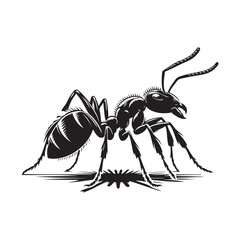 Ant silhouette vector