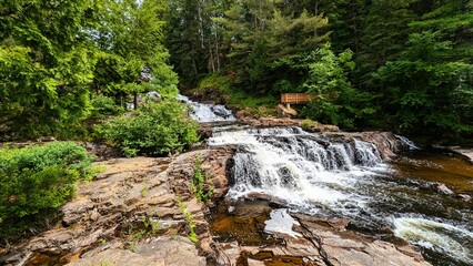 waterfall in the forest