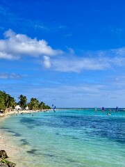 seascape of guadeloupe in the french west indies with a view of a sandy beach lined with coconut...