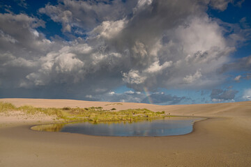 Dune fragment, Łeba, Poland, Słowiński National Park nature reserve, created on January 1, 1967 and covers an area of ​​327.44 km². The central part of the Polish coast, in the Pomeranian Voivodeship.