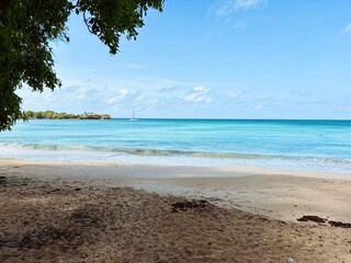 Les Salines Caribbean sand beach in Sainte-Anne, Martinique island, Departments of France, sunny day on a white sand beach with turquoise color Caribbean Sea water