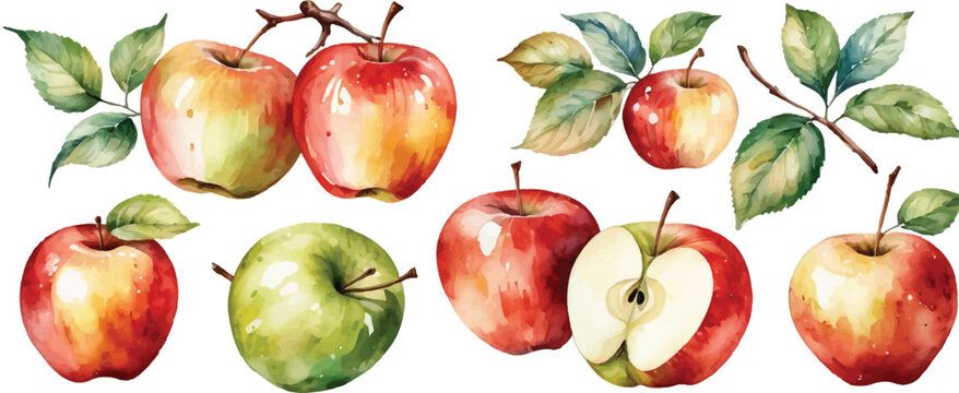 Apple Pattern Background Watercolor Style – Seamless Fruit Design for Organic Food Branding, Fabric, and Wrapping Paper