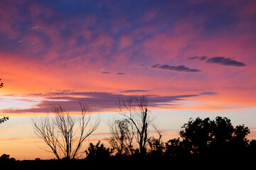 Fototapeta premium Spring blue pink and purple sunset in the country