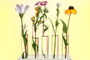 Flowers and plants in test tubes on wooden background. The concept of biological research