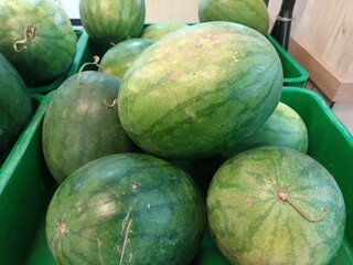 watermelons at the market